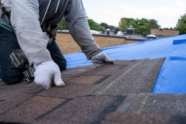 Roof Gutter Cleaning in Port Dickinson, NY