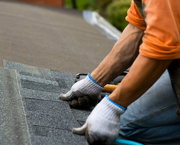Best Roof Gutter Cleaning  in Port Dickinson, NY